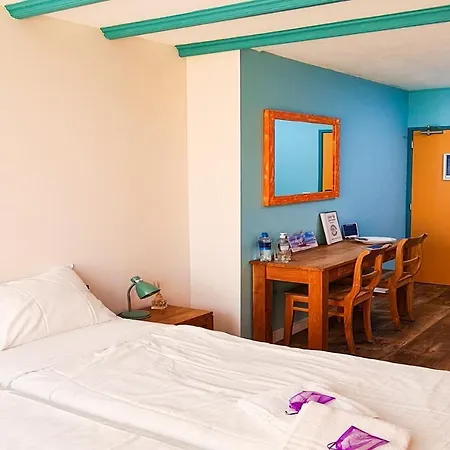 The Flying Pig Hostel *