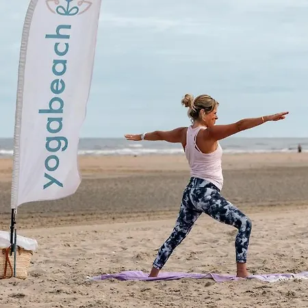 Vandrarhem The Flying Pig Age 18 To 40 *