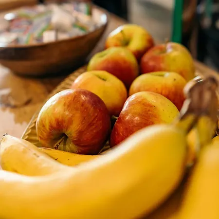 The Flying Pig Hostel