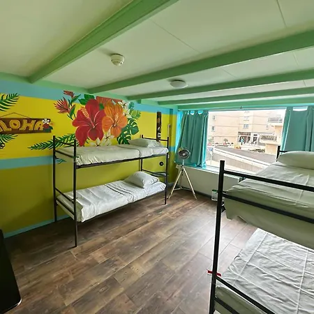 The Flying Pig Hostel *