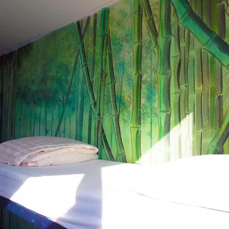 The Flying Pig Hostel