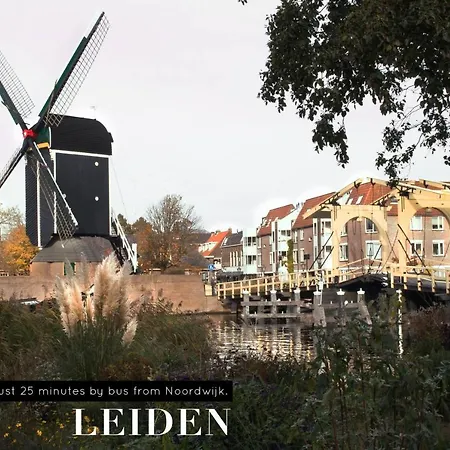 The Flying Pig * Noordwijk