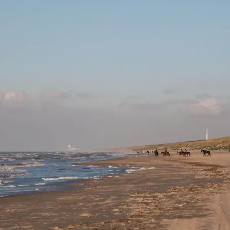 Vandrarhem The Flying Pig Age 18 To 40 *