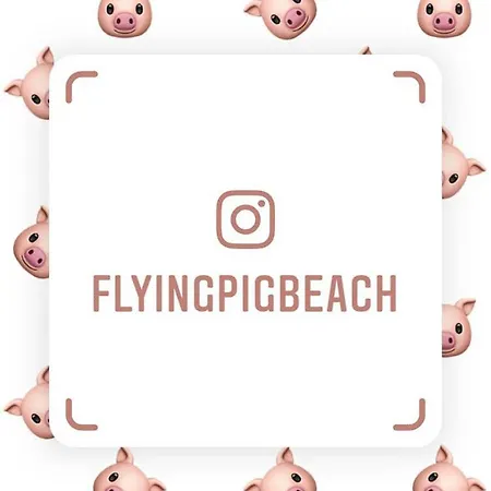 The Flying Pig Age 18 To 40 Vandrarhem