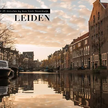 Hostel The Flying Pig Noordwijk