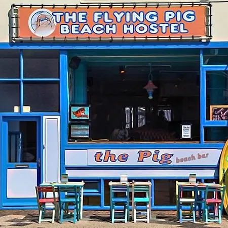 The Flying Pig Age 18 To 40 Ostello