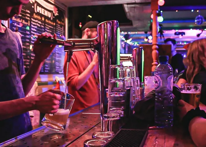 The Flying Pig Age 18 To 40 Hostel Noordwijk