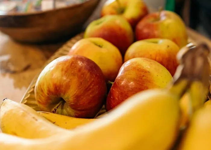 The Flying Pig Age 18 To 40 ホステル