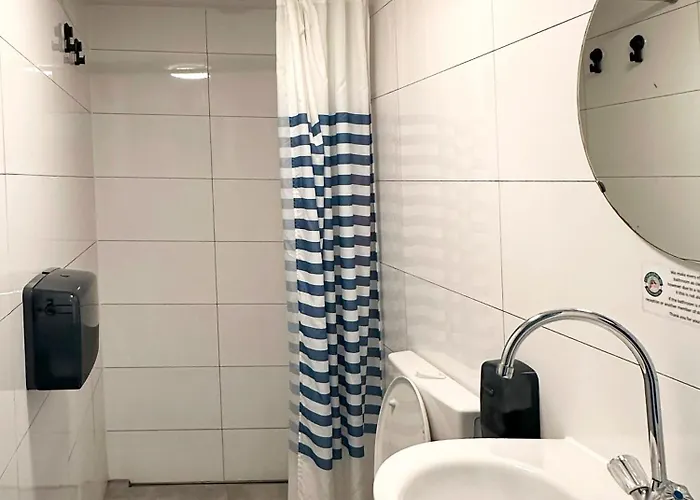 The Flying Pig Age 18 To 40 ノールトウェイク