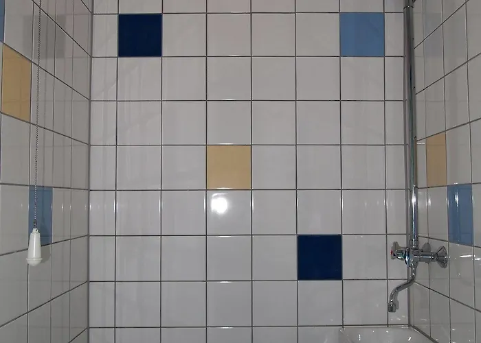 The Flying Pig Age 18 To 40