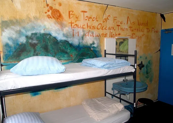 The Flying Pig Age 18 To 40 נורדוויק