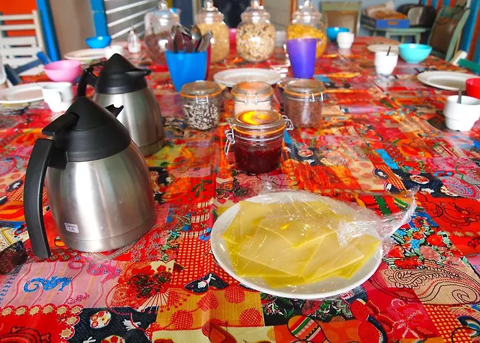 The Flying Pig Age 18 To 40 ノールトウェイク