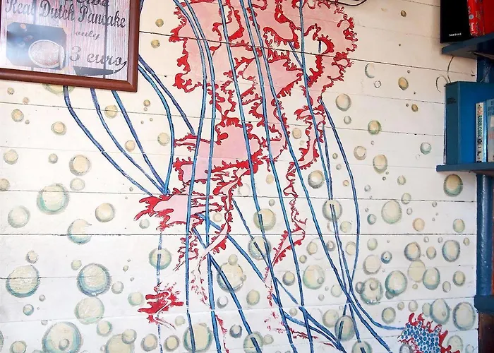 The Flying Pig Age 18 To 40 נורדוויק