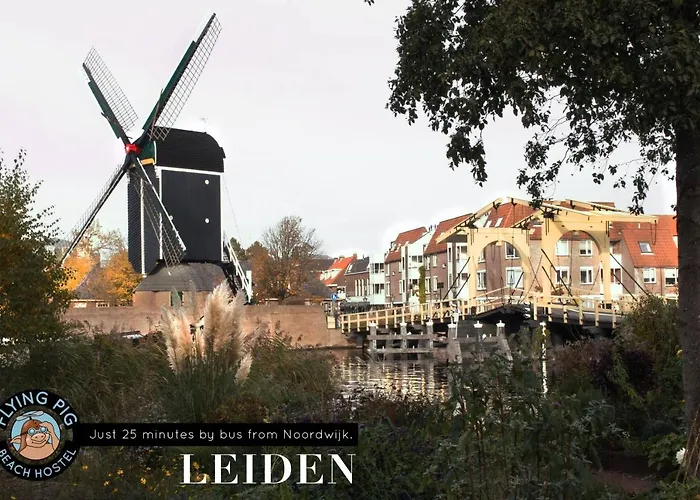 The Flying Pig Age 18 To 40 * ノールトウェイク