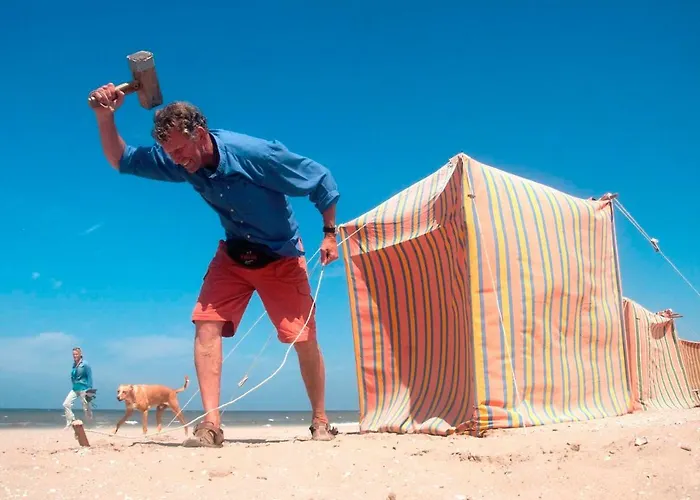 The Flying Pig Age 18 To 40 * ノールトウェイク