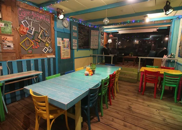 The Flying Pig Age 18 To 40