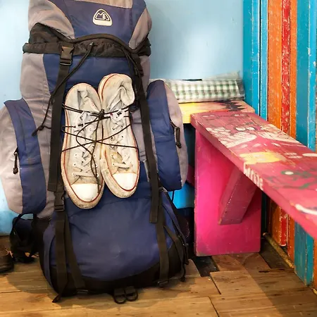 The Flying Pig Age 18 To 40 * Noordwijk