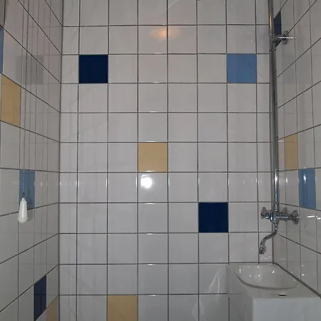 The Flying Pig Age 18 To 40