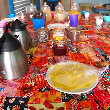 The Flying Pig Age 18 To 40 Noordwijk