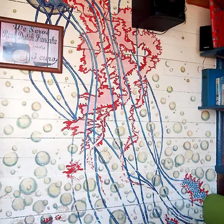 The Flying Pig Age 18 To 40 Noordwijk