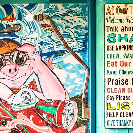 Ostello The Flying Pig Age 18 To 40 Noordwijk