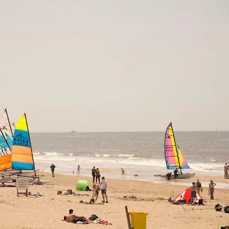 The Flying Pig Age 18 To 40 Ostello