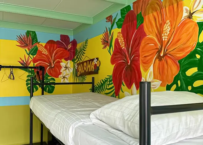 The Flying Pig Age 18 To 40 Hostel Noordwijk