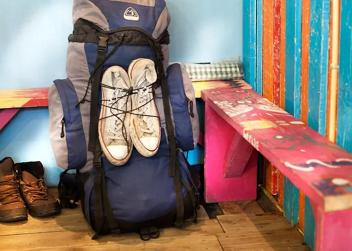 The Flying Pig Age 18 To 40 * Noordwijk