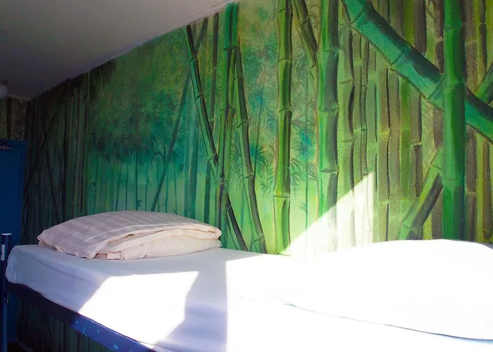 The Flying Pig Age 18 To 40 Hostel