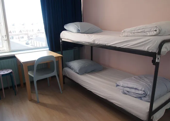 The Flying Pig Age 18 To 40