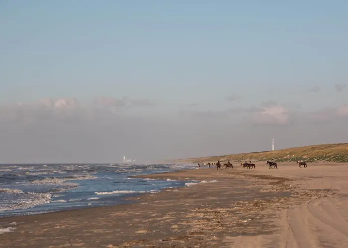 Hostel The Flying Pig Age 18 To 40 *