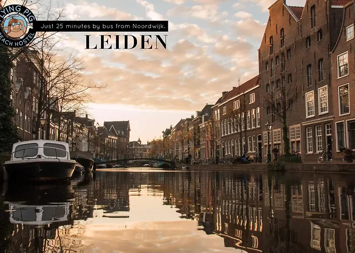 Hostel The Flying Pig Age 18 To 40 Noordwijk