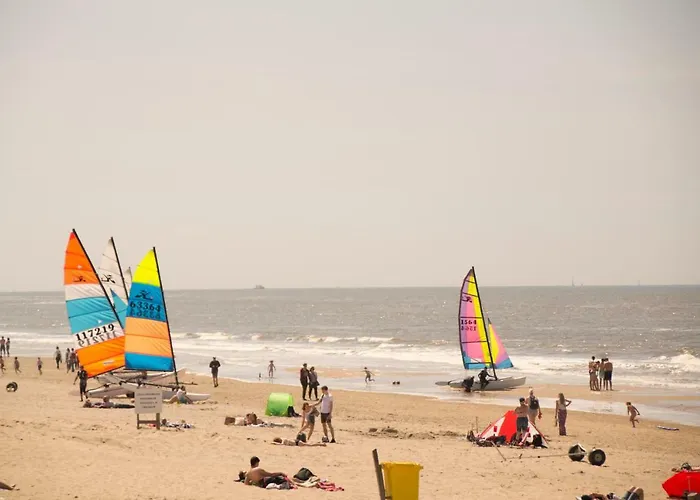 The Flying Pig Age 18 To 40 Hostel